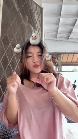 Wek wek 