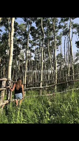 Colorado has my heart🩵 They go for the winters but stay for the summers—TRUTH. ✨🫶🏼 #colorado #explore #mountains #summertravel #traveltiktok 