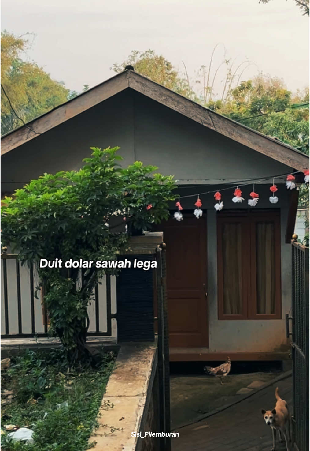 #pupujiansunda #nadomsunda #nadhomsunda #nadzomsunda #pepelinghirup #pepelingdiri #sisipilemburan #jawabarat #garututara #fypシ゚  📍Kp Padaemut Girijaya Kersamanah Garut Jawa Barat