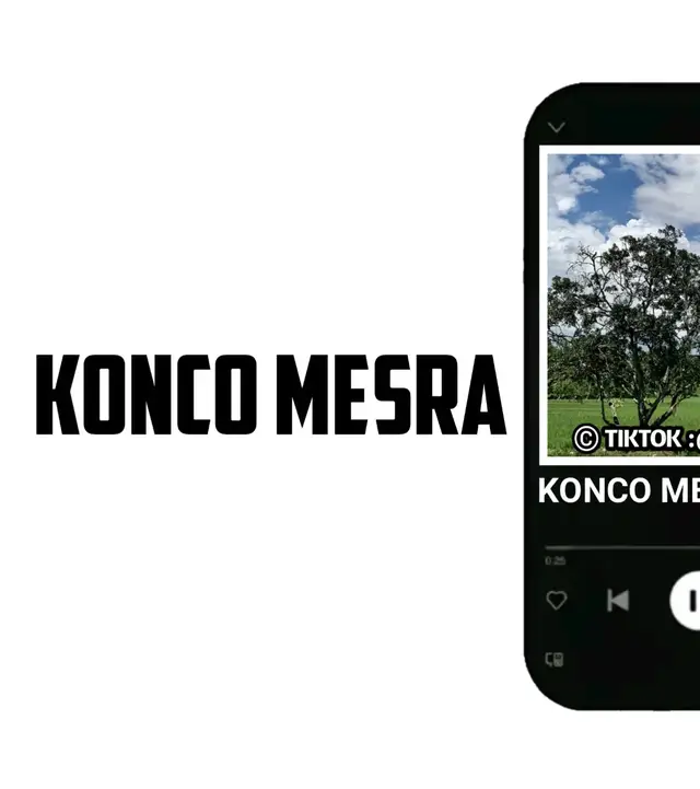 KONCO MESRA #koncomesra #lyrics #liriklagu #fypシ゚viral #fyp 