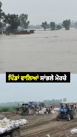 #foryoupage #punjab #fentysuperbrandday #vedio_viral #everyone 