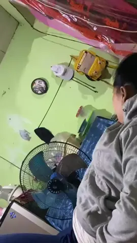 Ketemu video dulu pura2 kesurupan 
