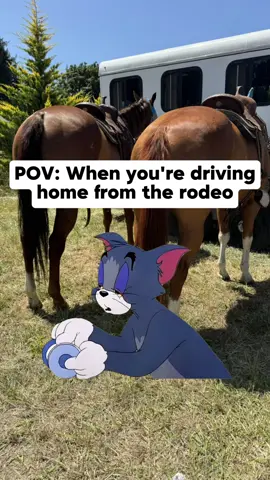 #rodeo #horses #fyp
