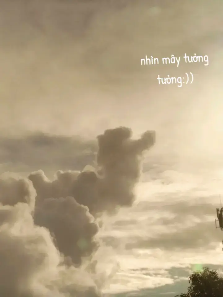 bboong nếu có kiếp sau hãy lm ng nhé em  cj nhớ em lắm nhưng ....nhưng r tại sao em lại bỏ cj đi hả bông😭😢🥹🥺😭
