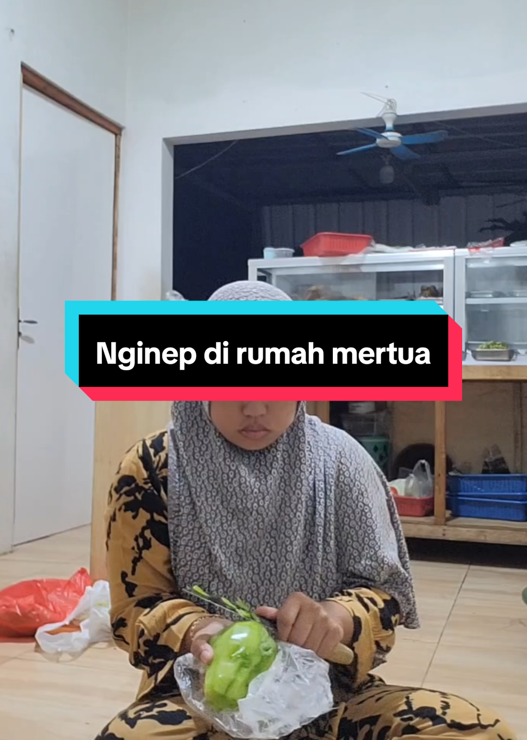 Bagian 23 : Nginep dirumah mertua 🏘 #fyppppppppppppppppppppppp #fyp #pov #iburumahtangga #dailyvlog 