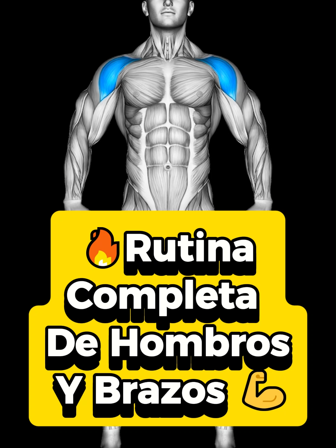 📌 Descripción: En esta rutina trabajaremos hombros, bíceps y tríceps para lograr brazos fuertes, definidos y con buena simetría. 🔹 Series: 3–4 por ejercicio 🔹 Repeticiones: 8–12 para fuerza y masa, 12–15 en aislamiento 🔹 Descanso: 45–90 segundos según el ejercicio 🔹 Tempo: Controla el movimiento (1 seg en la fase concéntrica, 2–3 seg en la excéntrica) para un mejor estímulo. 💡 Tips clave: Mantén los hombros estables y evita balanceos al trabajar bíceps. No bloquees los codos por completo en tríceps para proteger las articulaciones. Usa un rango completo de movimiento para estimular todas las fibras. Cambia agarres y ángulos para un desarrollo equilibrado. Calienta articulaciones antes y estira después para evitar lesiones.#gym #GymTok #gymmotivation #gymrat #GymLife #motivation #discipline #disciplina #rutinafitness #ejercicio #rutinapecho #rutinadetriceps #preworkout #powerlifting #bodybuilder #paratii #fuerza #backdaygym #fyp #gymtips