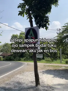 breett🤙