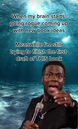 Focus brain. One at a time. #fantasybooks #debutnovel #firstdraft #writer #authorsoftiktok 