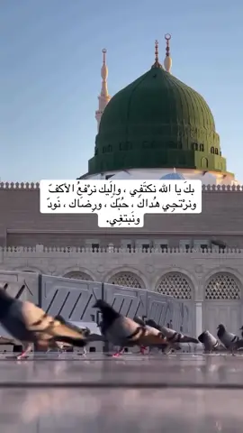 من أجمل ما قيل في الحُب :قول الرسول ﷺ :يا عائشة  إنه ليُهَوِّنُ عليَّ الموتَ أني قد رأيتك زوجتي في الجنة #المدينه_المنوره_الان #مدينة_رسول_الله #صلوا_على_رسول_الله #ﷺ#relatable #طيبة_المُطيبة 