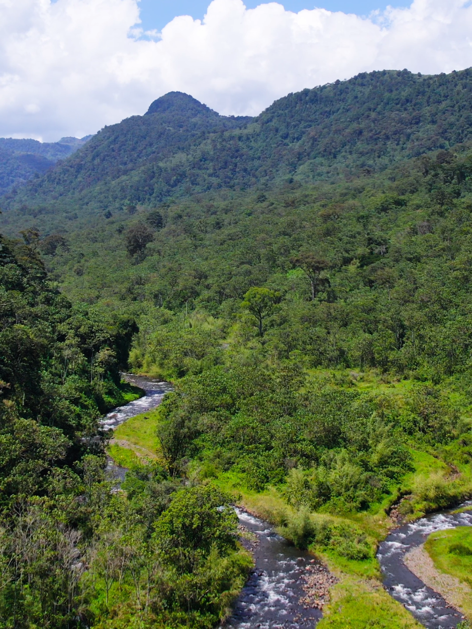 Gura river