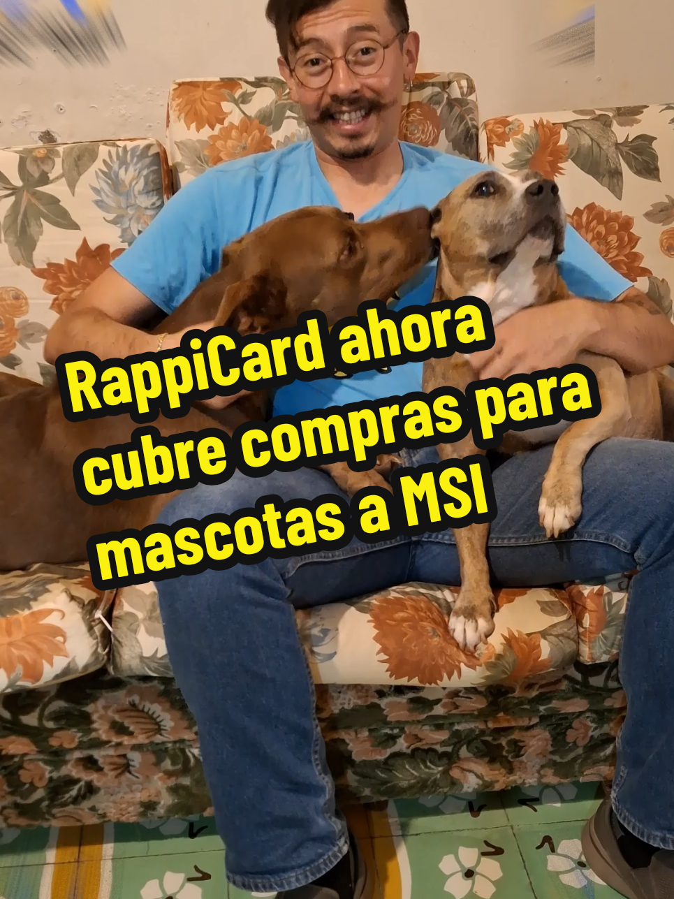RappiCard + compras para tu mascota = MSI sin intereses extra. En MercadoPeso puedes comparar y ver todos sus beneficios. #RappiCard #Mascotas #MercadoPeso #MSI 