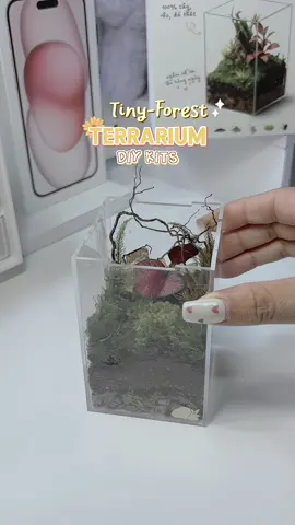 Mang nguyên cả góc rừng về bàn học chỉ với < 200 🐠 #tinyforest #terrariumdiy #GócRừngNhỏ #biuriviu #mónquàtựlàm 