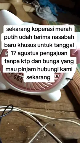 #pinjamancepatcair #pinjamanonline 