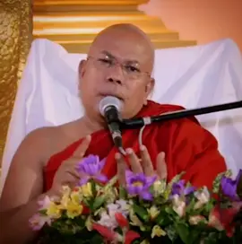 දඹදිව වජිරාසන ජය භූමියේ පැන නැගි ජය ශ්‍රී මහා බෝධින් වහන්සේ අපවත් කරවීමේ බේදනීය පුවත🙏🏻🥺