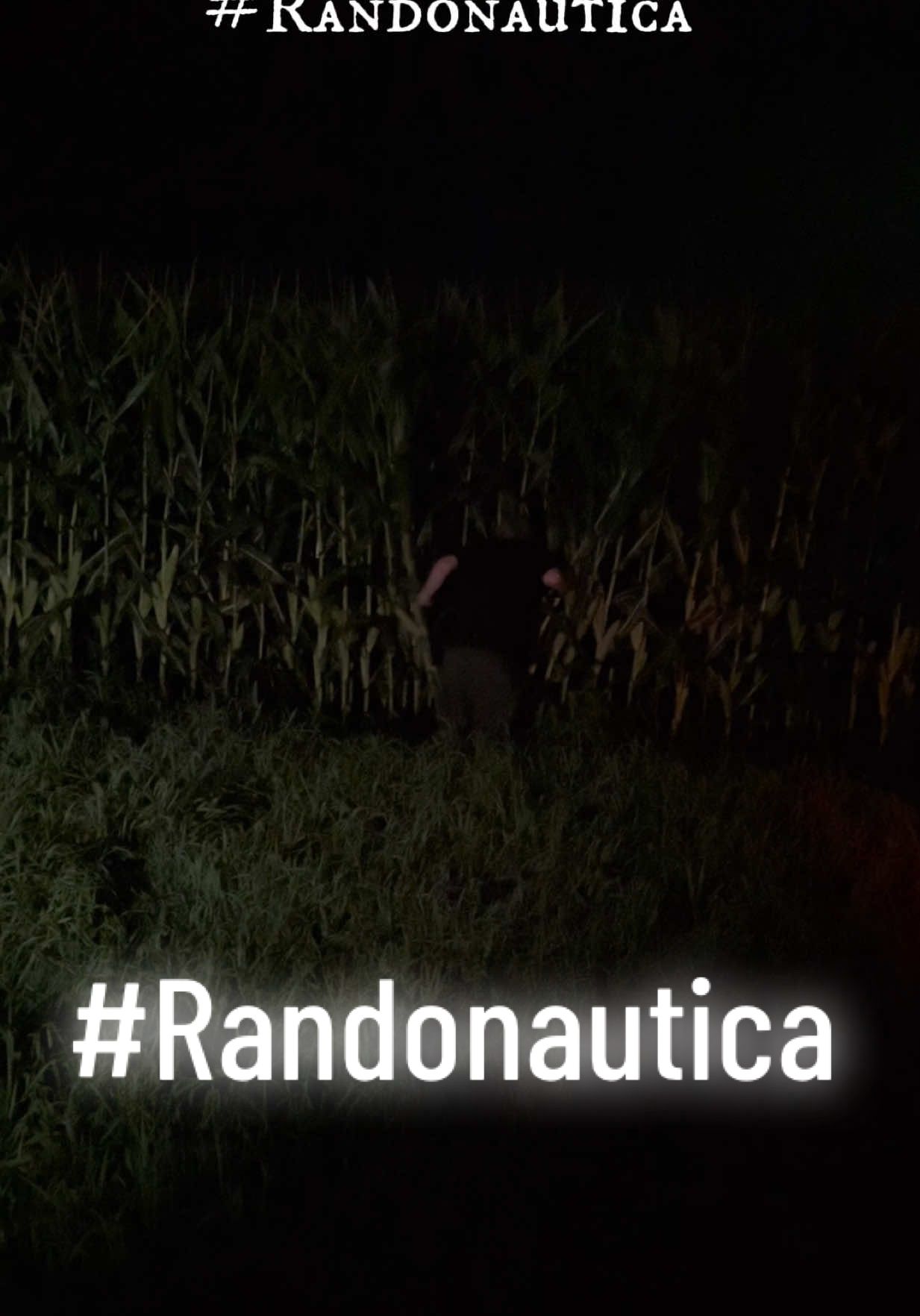 with @katarisx #randonautica #cornfield #scary #scarystories #countrylife 