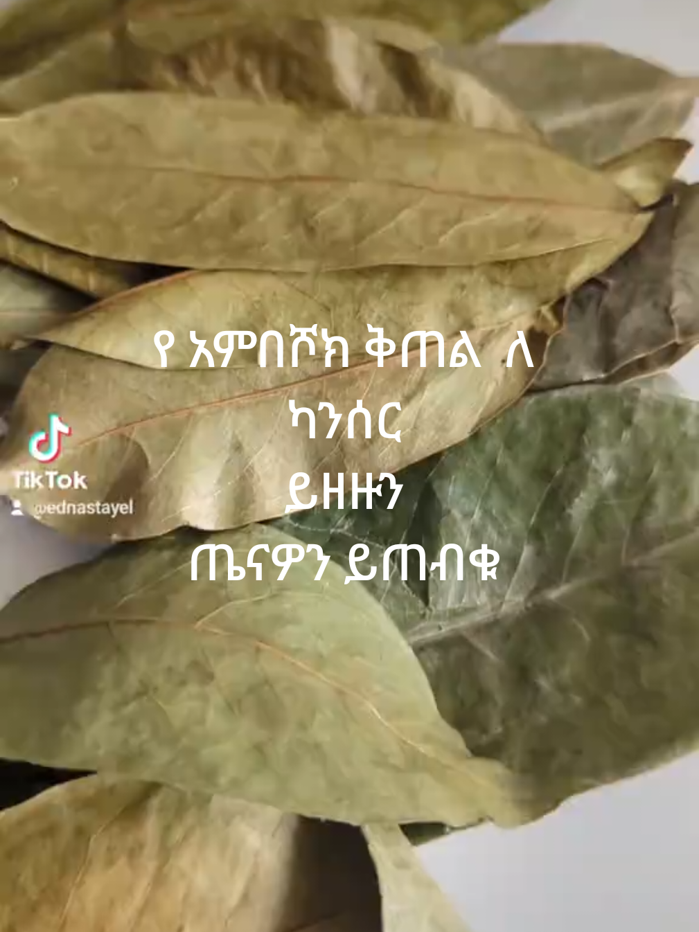 soursop 4cancer ##########soursop 