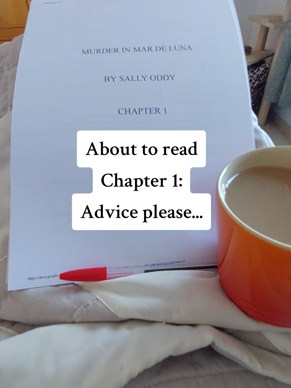 QUESTION: am I looking for gaps, inconsistencies, mistakes, grammar at this stage or just reading to enjoy the story??? Thanks friends 😊 #authortok #amwriting #writingtips #writingcommunity #fyp 