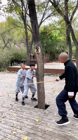 中国功夫十八般武艺每天更新 #martialarts #JackieChan #Chinese Kung Fu#kungfu