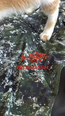 🦌🍂 This autumn, it can definitely help you hide perfectly when hunting! 🦃️ ⚠️ Please note that this is a style without a mask! #bassdash #camo #outdoor #breathable #sunprotection #breathable #upf50 #autumn #hunting #hunt #huntingtiktok #tiktokshop #deal #SummerDeals #holidaydeals #flashsale 
