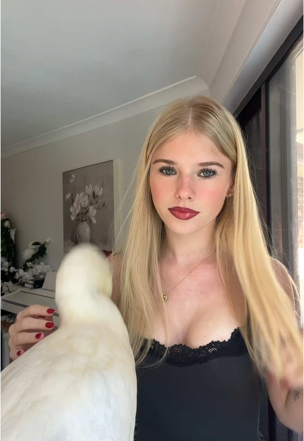 ducky #duck 