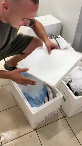 Va asteptam la pescarie!