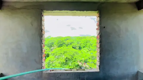 বাস্তবতা কঠিন হলেও মেনে নিতে হয় কিছু মানুষ হৃদয়ে থাকে কপালে নয়... 😅💔#foryou #foryoupage #vs_joinal01 #explore #naturevibes🌿 