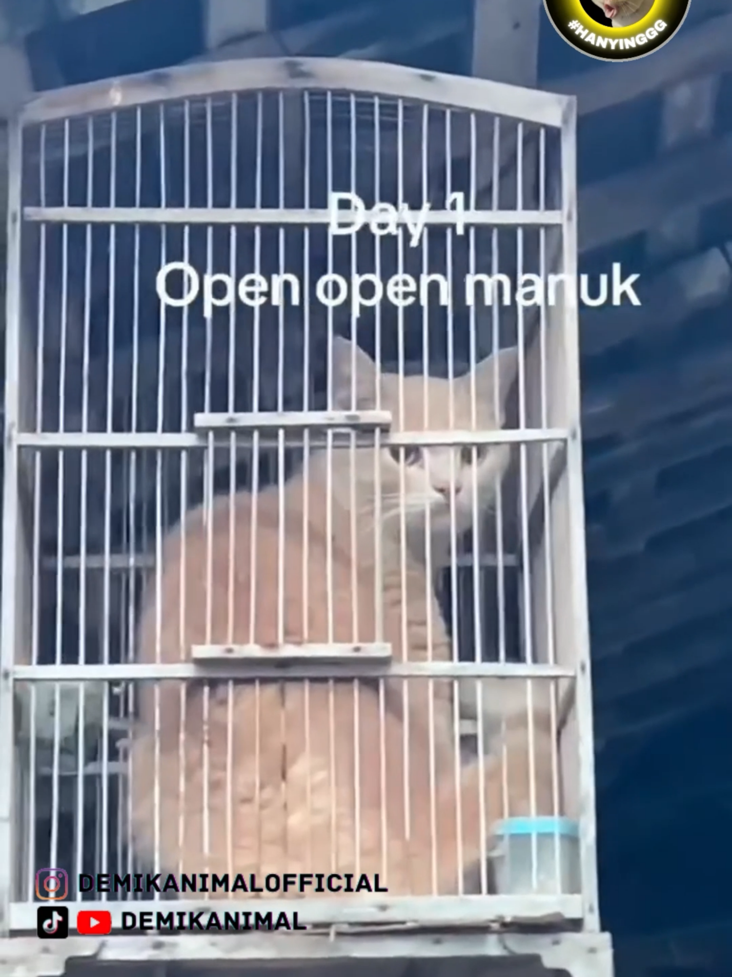 OYEN DIHUKUM #fyp #foryoupage #foryou #dubbing #dubbinglucu #dubbinghewan #dubbingbinatang #demikanimal #dubbingindonesia #demikfootball
