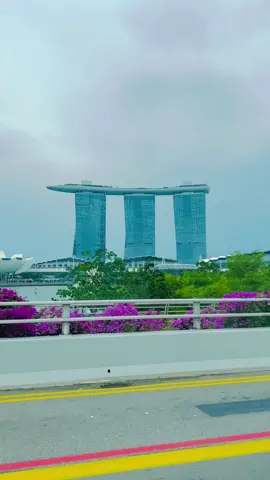 #singpore🇸🇬 #fypシ゚viral #fypシ゚viral🖤tiktok 