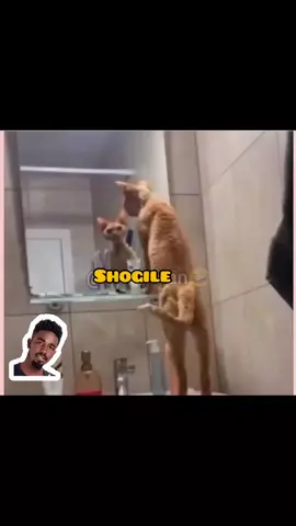 wataje vishoiya 😂