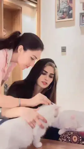#manoktk 