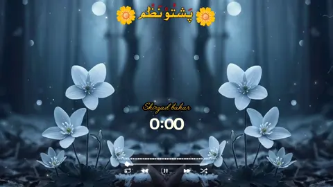 په ستر ګودی م ین یم په خبرو دی م ین یم#fyp #videoviral #tik_tok #fyp #videoviral 
