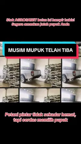 Stok AGROSAWIT bulan ini hampir habis!!!Segera amankan jatah pupuk Anda #fyp #viral #pupuk #npk #agrosawit #kelapasawit #jambi #riau #medan #lampung #linggau 