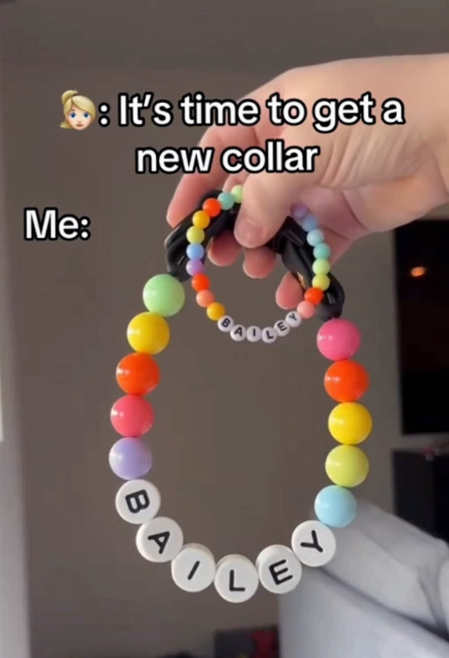 🩷🩷🩷It's time to get a new collar#dogcollar