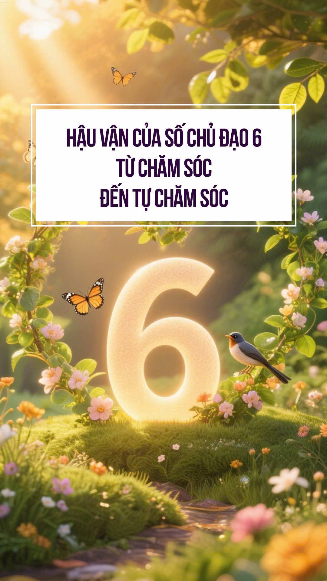 Hậu vận của số chủ đạo 6 - Từ chăm sóc đến tự chăm sóc #ThanSoHoc #successlegacy #tamlythansohoc #sochudao6 #hauvan 