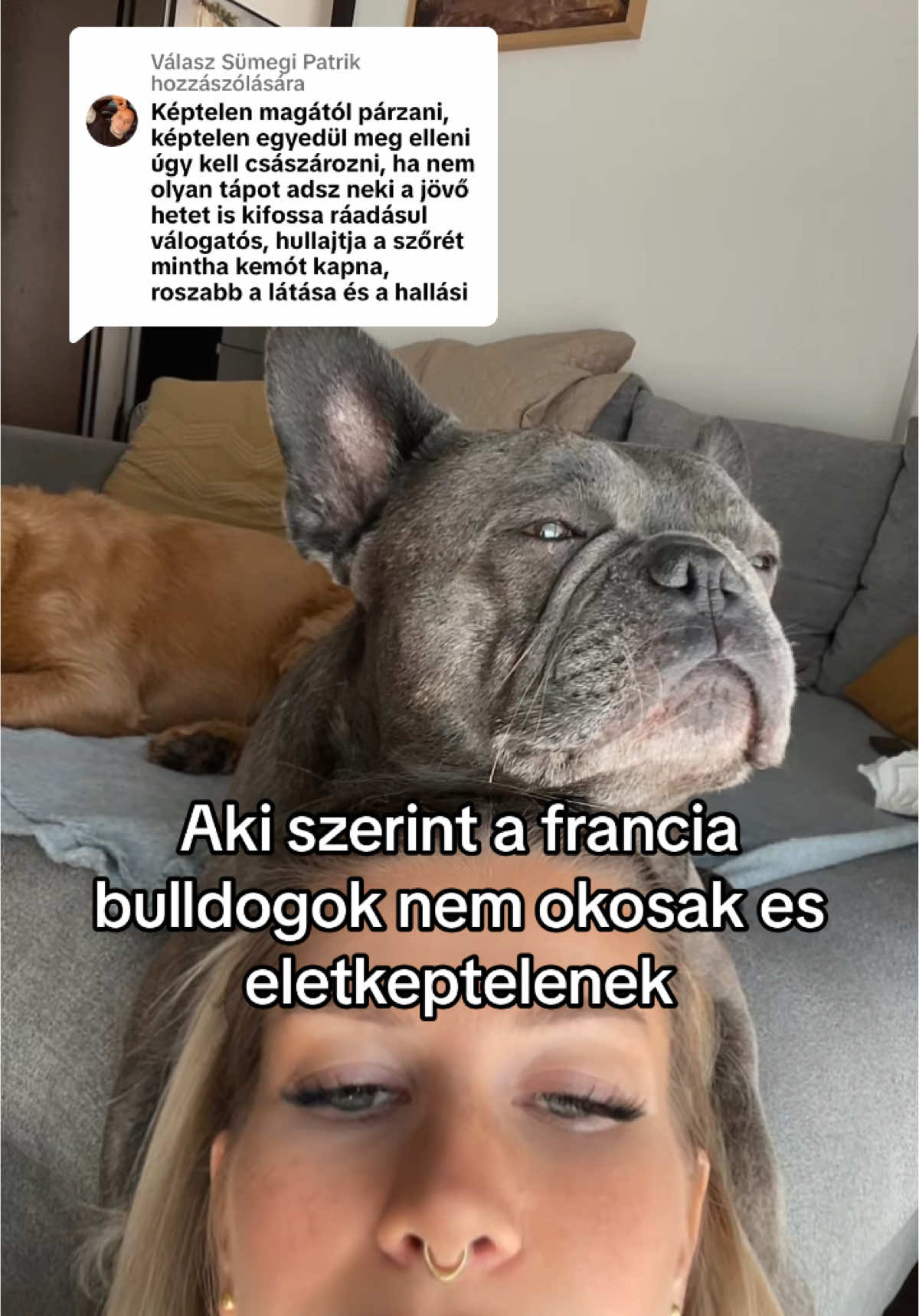 Válasz @Sümegi Patrik részére 