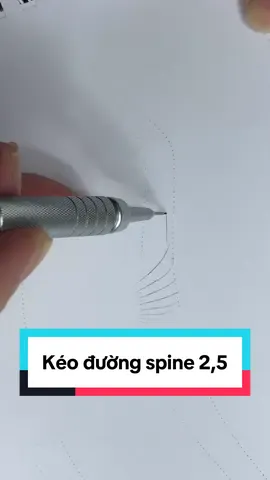 1 nét đường spine 2,5.