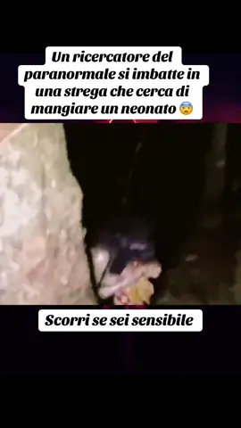 #brujas #scaryvideos #parapsicologia #strega #neonato Un ricercatore del paranormale si imbatte in una strega che cerca di mangiare un neonato 😨Scorri se sei sensibile.
