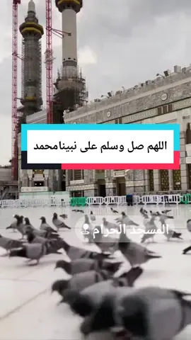 قال تعالى (إِنَّ اللَّهَ وَمَلَائِكَتَهُ يُصَلُّونَ عَلَى النَّبِيِّ ۚ يَا أَيُّهَا الَّذِينَ آمَنُوا صَلُّوا عَلَيْهِ وَسَلِّمُوا تَسْلِيمًا ) #منارتك_للسفر #منارة_المسافر #المسجد_الحرام #اللهم_صل_وسلم_على_نبينا_محمد #جمعه_معطره_بذكر_الله🕊♡ 