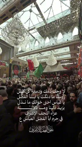 لإ وحك دمَك ودمعة كُل طَفل روسنا ما دنگت يا ابأ الفضل يا عَباس احنىٰ خوَاتك ما نـــذل يزيد ذلينا ومـــــا ذلانـــَــــــــة #عزاء_النجف_الاشرف  في حرم ابأ الفضل العباس ع