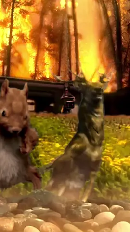 Dance | Train | #dancingsquirrel #dancingdeer #forestfire #funnyanimals #alexreynosoart 