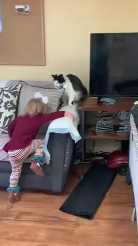 My cat is not vibing with the new baby 😹👶 #fyp #cat #cats #catlover #catsoftiktok 