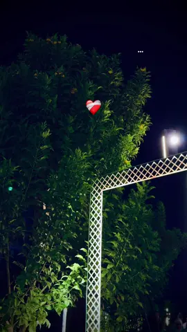 #fyppppppppppppppppppppppp #viral #tiktok #ramysabry #trending #natural #360camera #viraltiktok 