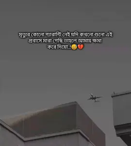 মৃত্যুর কোনো গ্যারান্টি নেই যদি কখনো শুনো এই প্রবাসে মারা গেছি তাহলে ক্ষমা করে দিয়ো..!😅💔 শখের প্রবাস😓💔 #saudi_probashi🇸🇦✈️ #foryou #foryoupage #saudi_probashi🇸🇦✈️ 