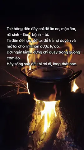 Ta không đến chỉ để đủ cơm áo, mà để học, tu, trả nợ duyên và mở lối cho linh hồn tự do. Đời ngắn, đừng chỉ xoay trong guồng mưu sinh – hãy sống sao để lúc rời đi, lòng thật nhẹ. #MộtChútAn #TỉnhThức #foryou #xh #th 