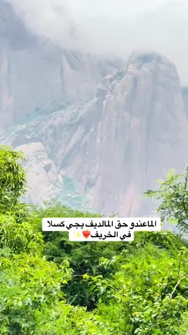 #الخريف_والجو_الجميل🍁🍂 #كسلا #القاش #اجواء_خيالية #