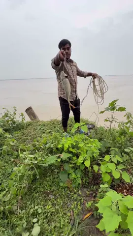 Throwing fish bait in river 3 #shorts #catchingfish ##fishinglife #baitfishing #fishing 
