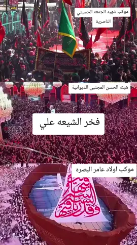 دخول اكبر مواكب 2025 #اربعينيه_الامام_الحسين #محمدباقرالخاقاني #سيدفاقدالموسوي💔💔💔 اولاد_عامر #البصره_شط_العرب  #البصره_بغداد_العماره_ناصريه_بابل_ثوره 
