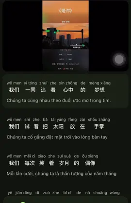 Học tiếng Trung qua bài hát “Là anh”-  是你#tuhoctiengtrung #tiengtrungmoingay #viral 