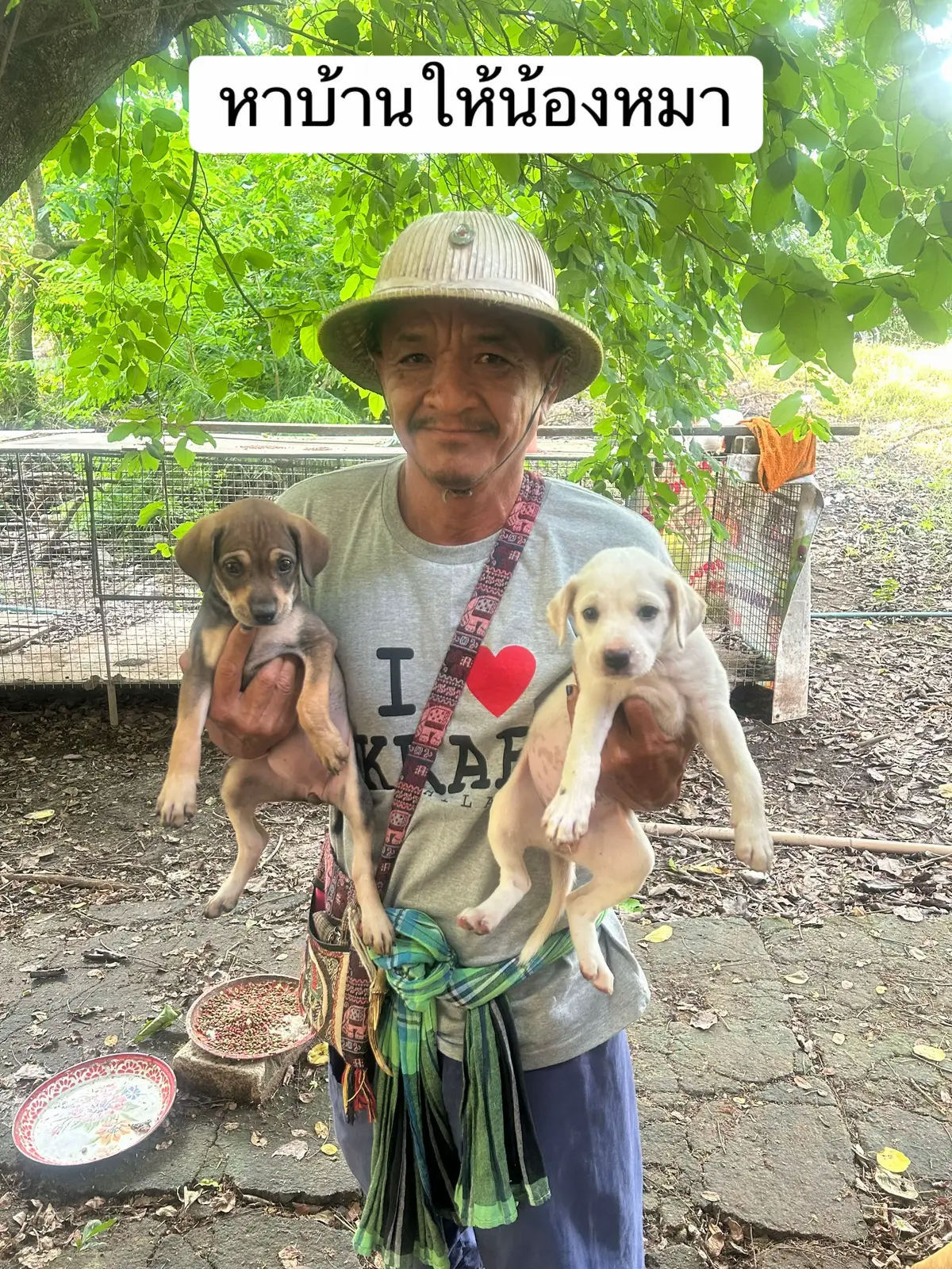#หาบ้านให้น้องหมา #เปิดการมองเห็น 