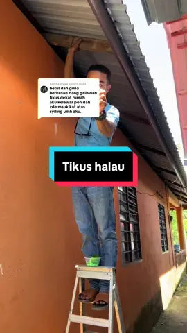 Membalas kepada @8084 Halau tikus#racun#halau#tikus#murah#fyppppppppppppppppppppppp 